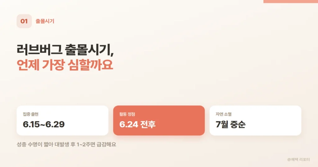 러브버그 출몰시기와 연도별 출현 추이 설명 카드