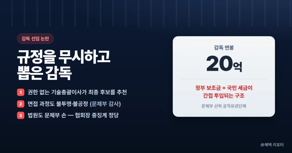 대한축구협회 홍명보 선임 절차 위반과 문체부 감사 결과