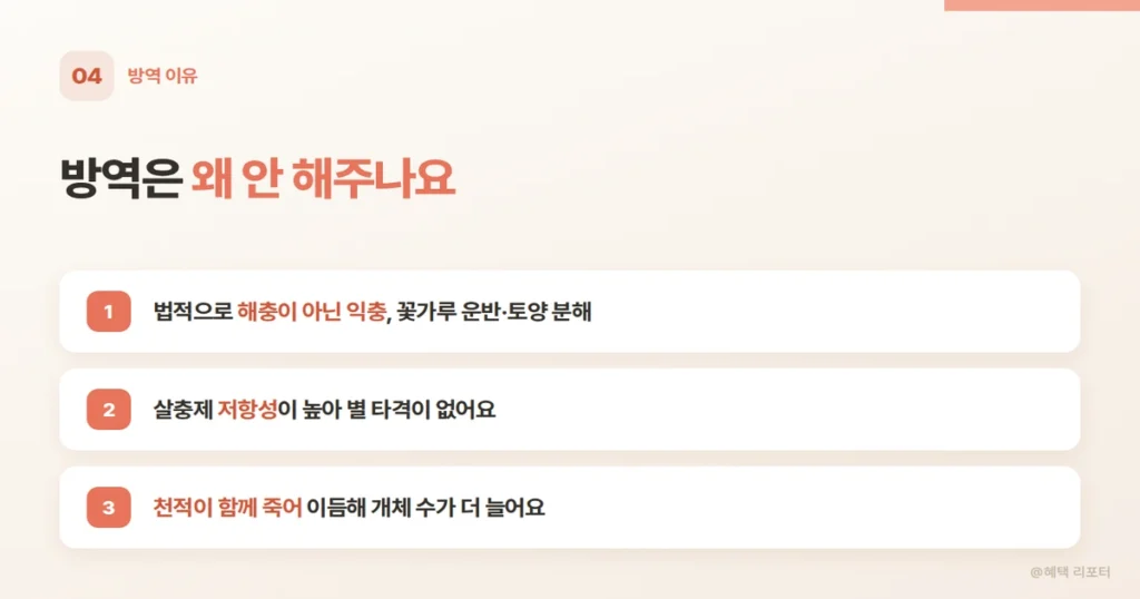 러브버그 방역 불가 이유와 천적 현황 안내 카드